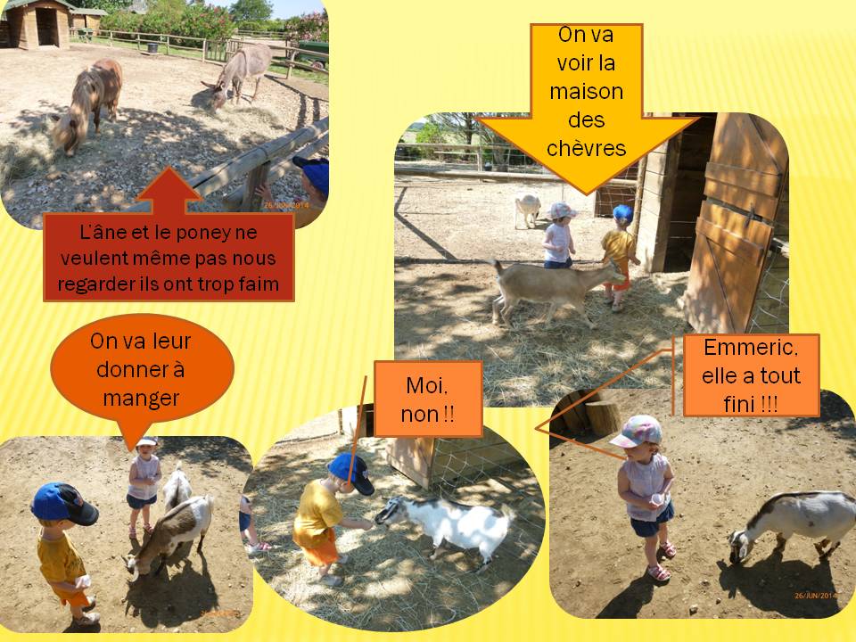 La Ferme De Pinocchio Cagnes Sur Mer